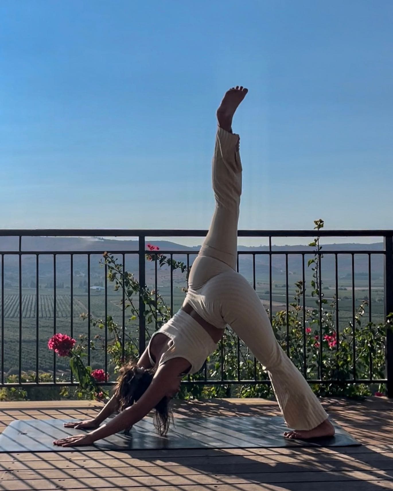 גישה סומאטית — חיבור לגוף